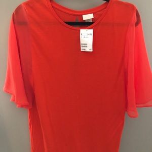 Sheer flutter sleeve blouse